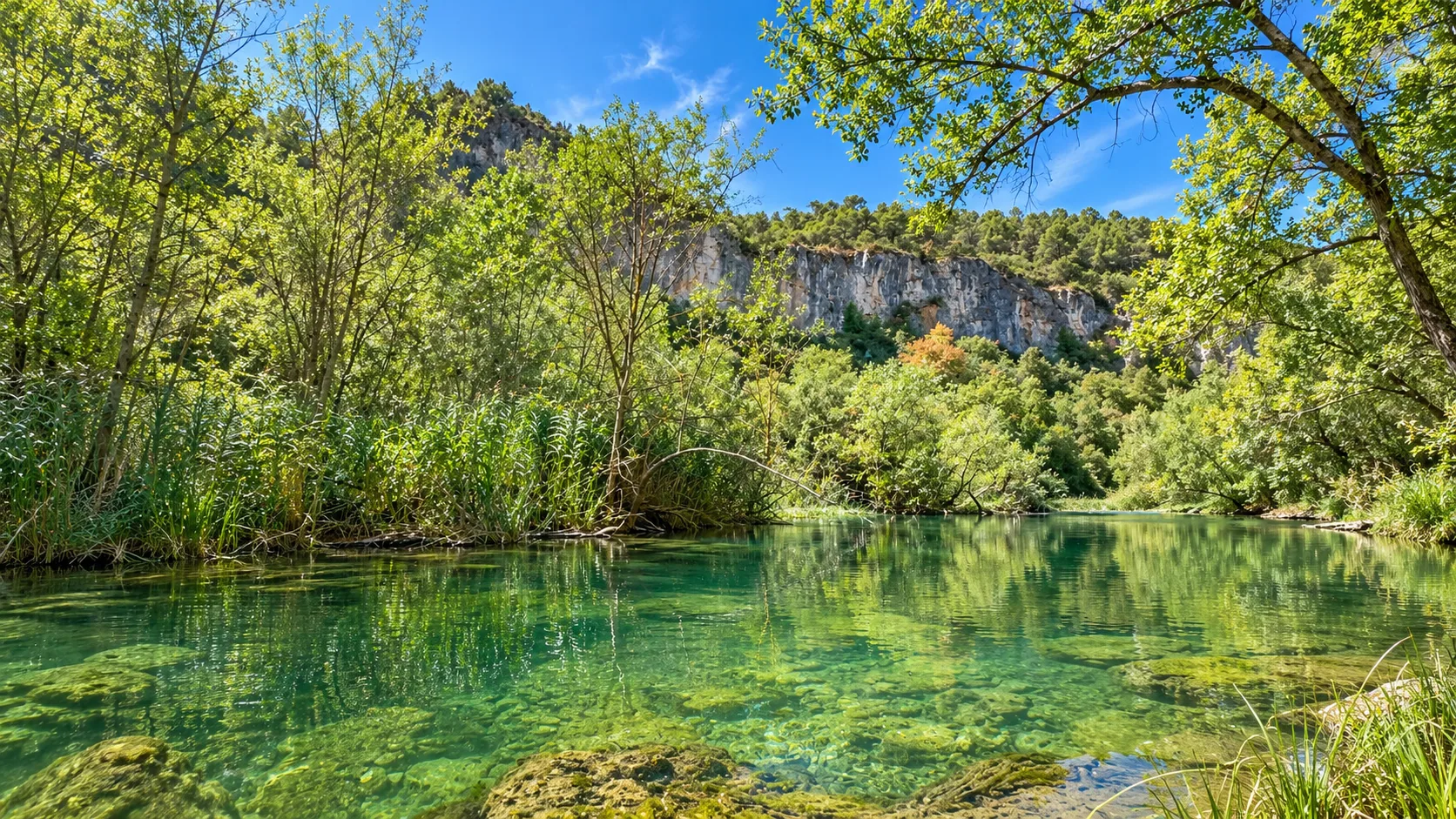 AppMotilla_Rio